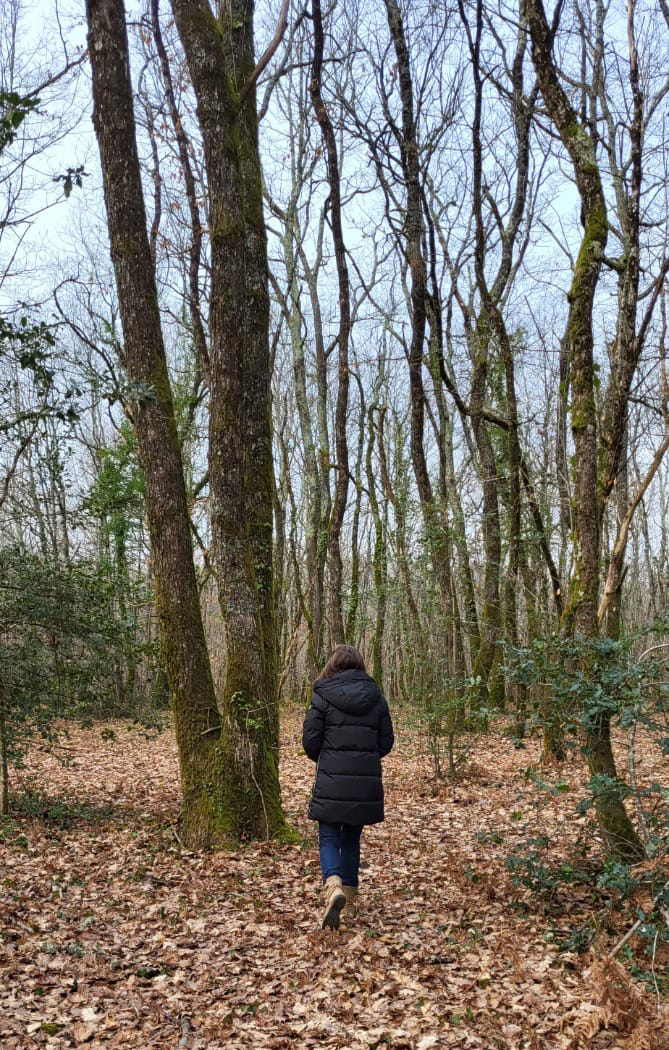 Ateliers - Sorties Nature - Marche consciente Sylvothérapie - Bain de Forêt en Charente
