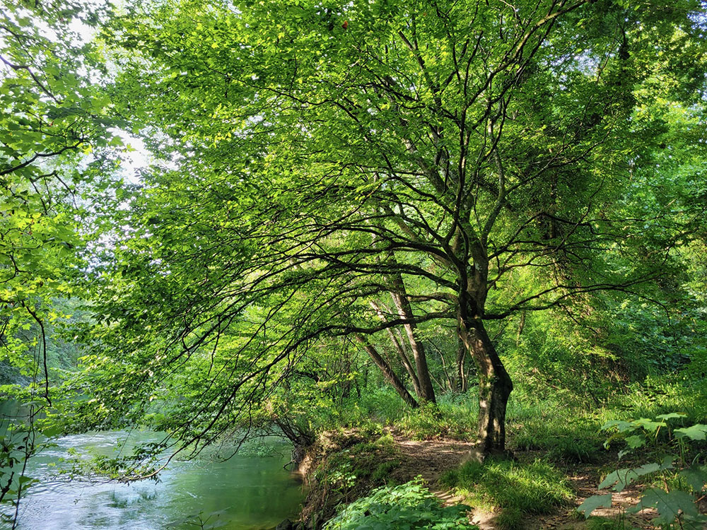 respecter la nature en Charente