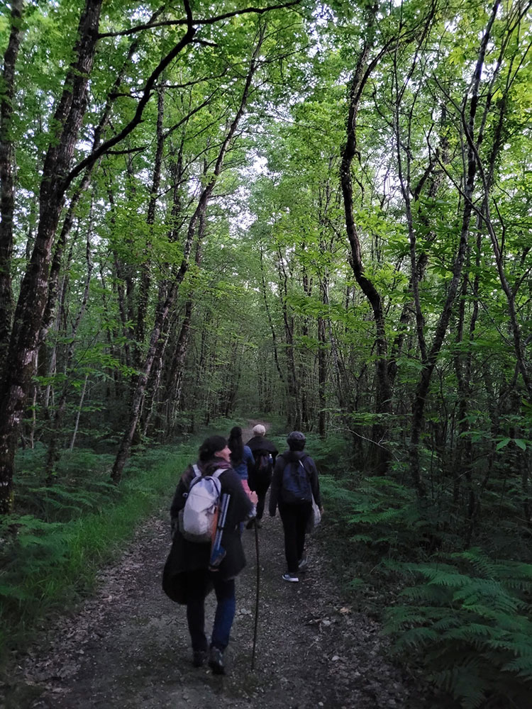 Meditation en plein nature en Charente